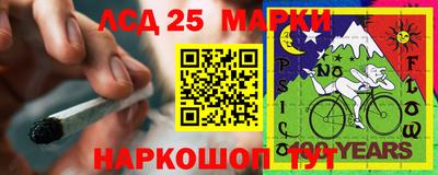 МДПВ Кингисепп
