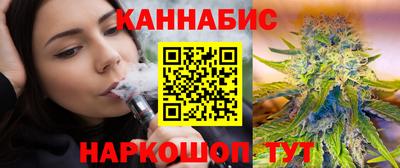 МДПВ Кингисепп