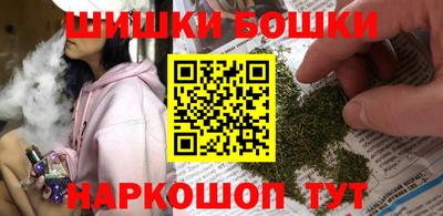 МДПВ Кингисепп