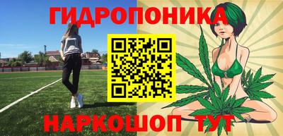 МДПВ Кингисепп