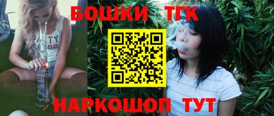 МДПВ Кингисепп