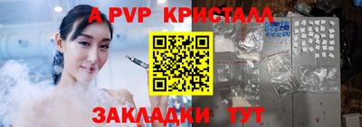 МДПВ Кингисепп