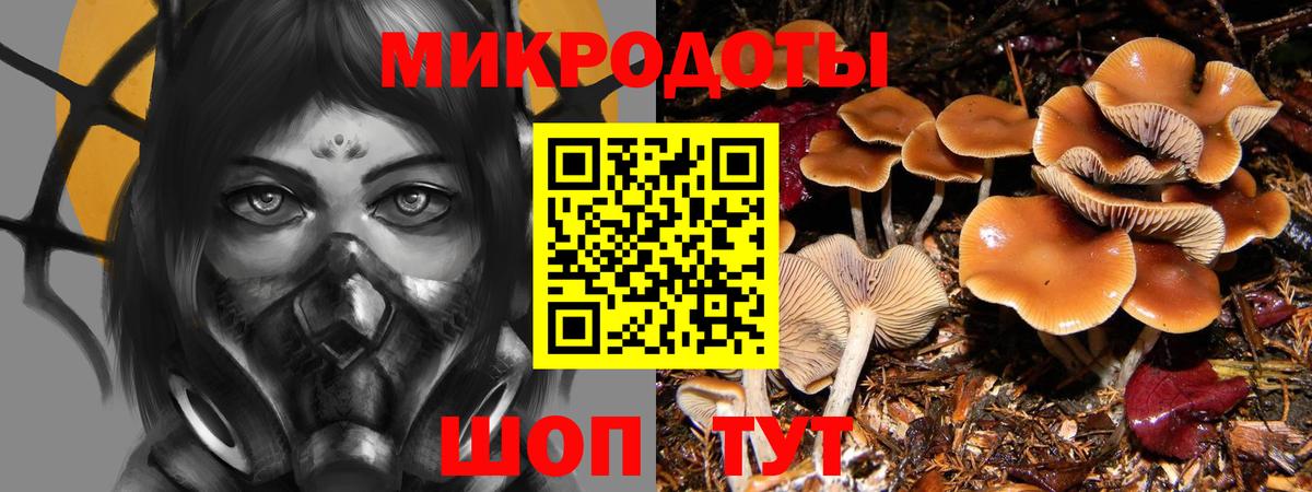 Псилоцибиновые грибы Cubensis  Галлюциногенные грибы MAGIC MUSHROOMS  Королёв  Вход с VPN 